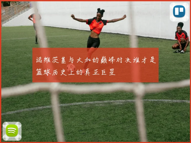 诺维茨基与大加的巅峰对决谁才是篮球历史上的真正巨星