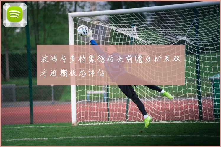 波鸿与多特蒙德对决前瞻分析及双方近期状态评估