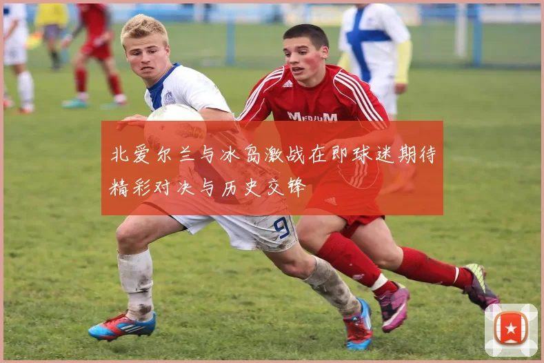 北爱尔兰与冰岛激战在即球迷期待精彩对决与历史交锋