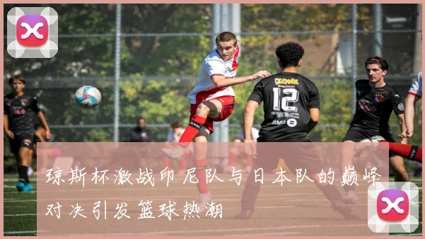 琼斯杯激战印尼队与日本队的巅峰对决引发篮球热潮