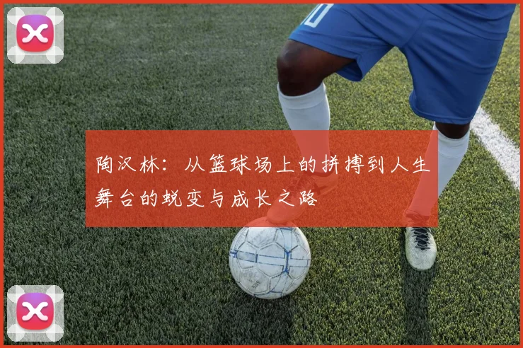 陶汉林：从篮球场上的拼搏到人生舞台的蜕变与成长之路